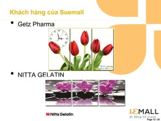 Page 12 / 26
Khách hàng của Suemall
• Getz Pharma
• NITTA GELATIN
 
