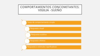 COMPORTAMIENTOS CONCOMITANTES:
VIGILIA -SUEÑO
Tarea de comportamiento simple
Respuesta visual
Respuesta auditiva
Respuesta olfativa
Respuesta a estímulos significativos
 