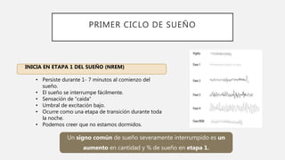 PRIMER CICLO DE SUEÑO
INICIA EN ETAPA 1 DEL SUEÑO (NREM)
• Persiste durante 1- 7 minutos al comienzo del
sueño.
• El sueño se interrumpe fácilmente.
• Sensación de “caída”
• Umbral de excitación bajo.
• Ocurre como una etapa de transición durante toda
la noche.
• Podemos creer que no estamos dormidos.
Un signo común de sueño severamente interrumpido es un
aumento en cantidad y % de sueño en etapa 1.
 