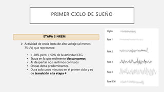 PRIMER CICLO DE SUEÑO
ETAPA 3 NREM
 Actividad de onda lenta de alto voltaje (al menos
75 μV) que representa:
• > 20% pero < 50% de la actividad EEG.
• Etapa en la que realmente descansamos
• Al despertar nos sentimos confusos
• Ondas delta predominantes.
• Dura solo unos minutos en el primer ciclo y es
de transición a la etapa 4
 