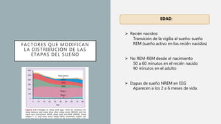 FACTORES QUE MODIFICAN
LA DISTRIBUCIÓN DE LAS
ETAPAS DEL SUEÑO
EDAD:
 Recién nacidos:
Transición de la vigilia al sueño: sueño
REM (sueño activo en los recién nacidos)
 No REM-REM desde el nacimiento
50 a 60 minutos en el recién nacido
90 minutos en el adulto
 Etapas de sueño NREM en EEG
Aparecen a los 2 a 6 meses de vida.
 
