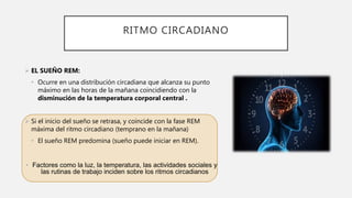 RITMO CIRCADIANO
 EL SUEÑO REM:
• Ocurre en una distribución circadiana que alcanza su punto
máximo en las horas de la mañana coincidiendo con la
disminución de la temperatura corporal central .
 Si el inicio del sueño se retrasa, y coincide con la fase REM
máxima del ritmo circadiano (temprano en la mañana)
• El sueño REM predomina (sueño puede iniciar en REM).
• Factores como la luz, la temperatura, las actividades sociales y
las rutinas de trabajo inciden sobre los ritmos circadianos
 