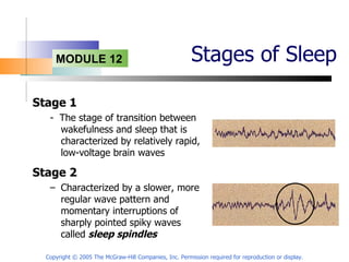 Stages of Sleep Stage 1 -  The stage of transition between wakefulness and sleep that is characterized by relatively rapid, low-voltage brain waves Copyright © 2005 The McGraw-Hill Companies, Inc. Permission required for reproduction or display. Stage 2 Characterized by a slower, more regular wave pattern and momentary interruptions of sharply pointed spiky waves called  sleep spindles 