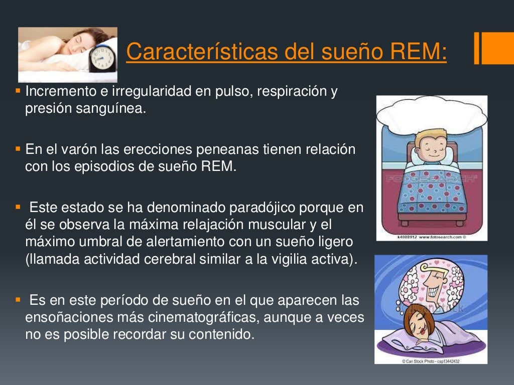 El sueño etapas caracteristicas y sueño Rem y No Rem