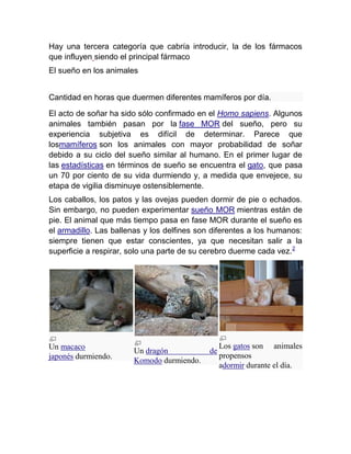 Hay una tercera categoría que cabría introducir, la de los fármacos
que influyen siendo el principal fármaco
El sueño en los animales


Cantidad en horas que duermen diferentes mamíferos por día.

El acto de soñar ha sido sólo confirmado en el Homo sapiens. Algunos
animales también pasan por la fase MOR del sueño, pero su
experiencia subjetiva es difícil de determinar. Parece que
losmamíferos son los animales con mayor probabilidad de soñar
debido a su ciclo del sueño similar al humano. En el primer lugar de
las estadísticas en términos de sueño se encuentra el gato, que pasa
un 70 por ciento de su vida durmiendo y, a medida que envejece, su
etapa de vigilia disminuye ostensiblemente.
Los caballos, los patos y las ovejas pueden dormir de pie o echados.
Sin embargo, no pueden experimentar sueño MOR mientras están de
pie. El animal que más tiempo pasa en fase MOR durante el sueño es
el armadillo. Las ballenas y los delfines son diferentes a los humanos:
siempre tienen que estar conscientes, ya que necesitan salir a la
superficie a respirar, solo una parte de su cerebro duerme cada vez.2




Un macaco                                         Los gatos son animales
                       Un dragón             de
japonés durmiendo.                                propensos
                       Komodo durmiendo.
                                                  adormir durante el día.
 