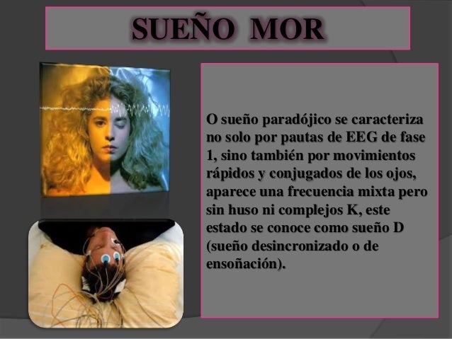 Como aumentar el miembro viril de las lombrices de tierra