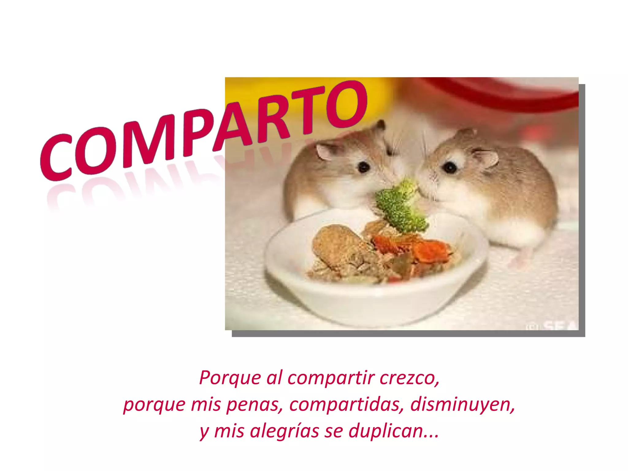 Porque al compartir crezco, porque mis penas, compartidas, disminuyen, y mis alegrías se duplican...