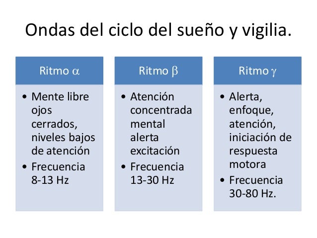 Fisiología: Sueño y vigilia