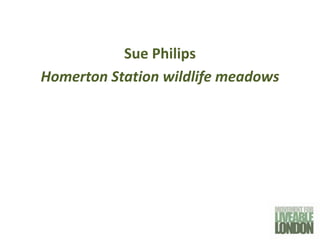 Sue Philips
Homerton Station wildlife meadows
 