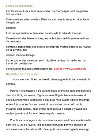 Levure du champagne :

Les levures utilisées dans l’élaboration du champagne sont en général
des souches

Commerciales sélectionnées. Elles transforment le sucre en alcool et en
dioxyde de

carbone.

Lors de la première fermentation puis lors de la prise de mousse.

Outre le suivi des fermentations, les techniciens de laboratoire réalisent
de nombreux

contrôles, notamment des études de propreté microbiologique au niveau
de la cuverie, des

chaînes d’embouteillage…

Le personnel des caves est suivi régulièrement par la médecine du
travail afin de dépister

d’éventuelles maladies professionnelles. Source : www.wikipedia.org

Description de l’expérience:

     Nous avons eu l’idée de faire du champagne de la banane et de la
pomme.

   Pour le « champagne » de banane nous avons mit dans une bouteille
d’un litre ½ 5g de levure, 15g de sucre et 90g de banane écrasée et
nous avons remplie la bouteille d’eau puis nous avons agité le mélange.
Après 7 jours nous l’avons ouvert et nous avons remarqué que le
mélange était gazeux, nous avons senti l’odeur à alcool, il y avait une
couleur jaunâtre et il y avait beaucoup de mousse.

   Pour le « champagne » de pomme nous avons mit dans une bouteille
d’un litre ½ 5g de levure, 15g de sucre et 90g de pomme écrasée et
nous avons remplie la bouteille d’eau puis nous avons agité le mélange.
 