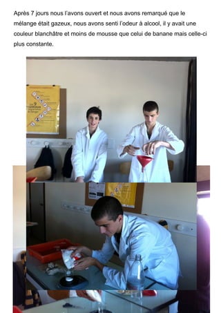 Après 7 jours nous l’avons ouvert et nous avons remarqué que le
mélange était gazeux, nous avons senti l’odeur à alcool, il y avait une
couleur blanchâtre et moins de mousse que celui de banane mais celle-ci
plus constante.
 