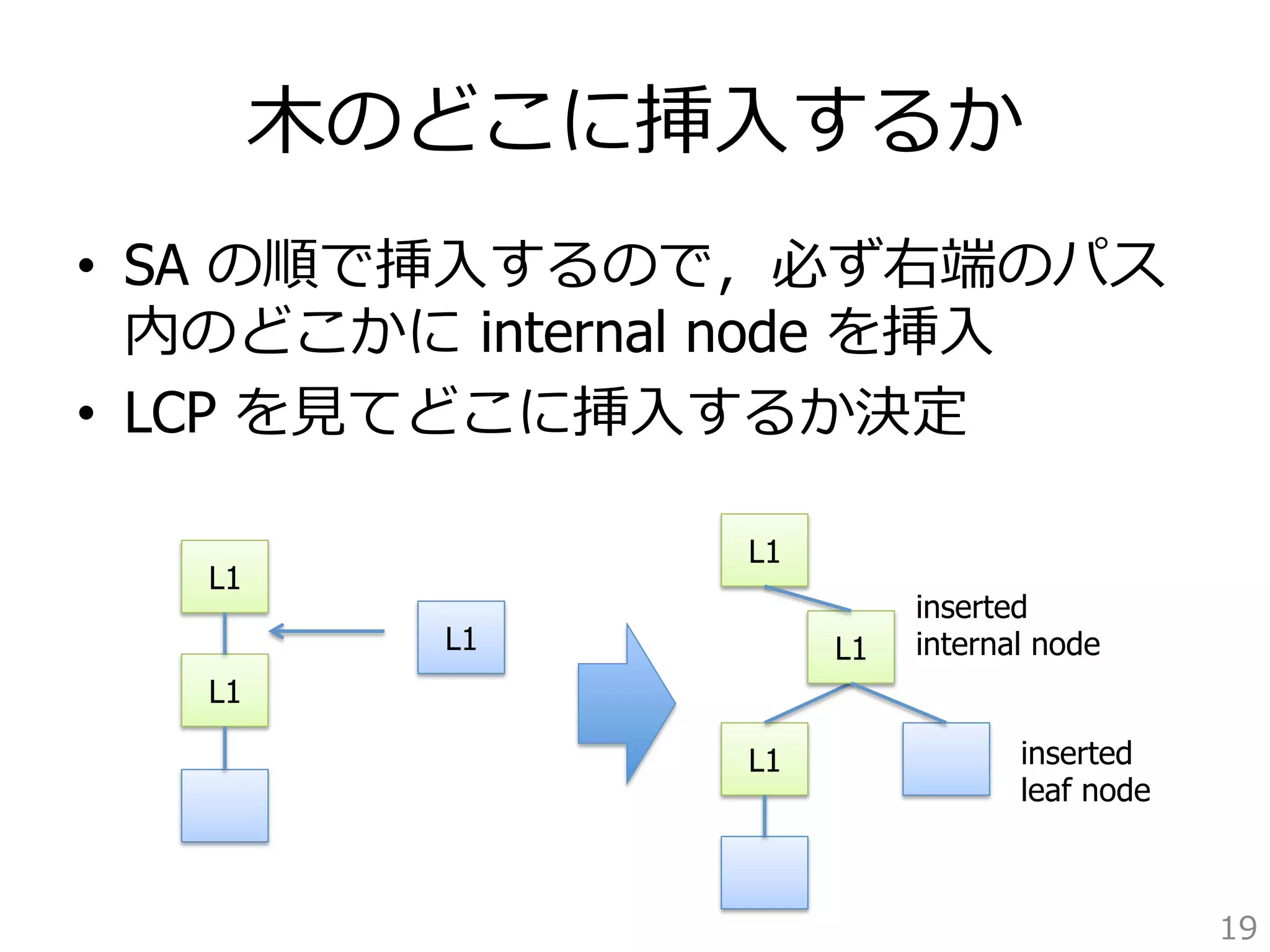 ⽊木のどこに挿⼊入するか 
• SA の順で挿⼊入するので，必ず右端のパス 
内のどこかに internal node を挿⼊入 
• LCP を⾒見見てどこに挿⼊入するか決定 
19 
L1 
L1 
L1 
inserted 
internal node 
L1 
L1inserted 
leaf node 
L1 
 