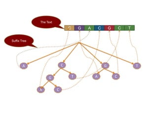 Suffix arrays | PPTX