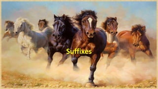 Suffixes 
 