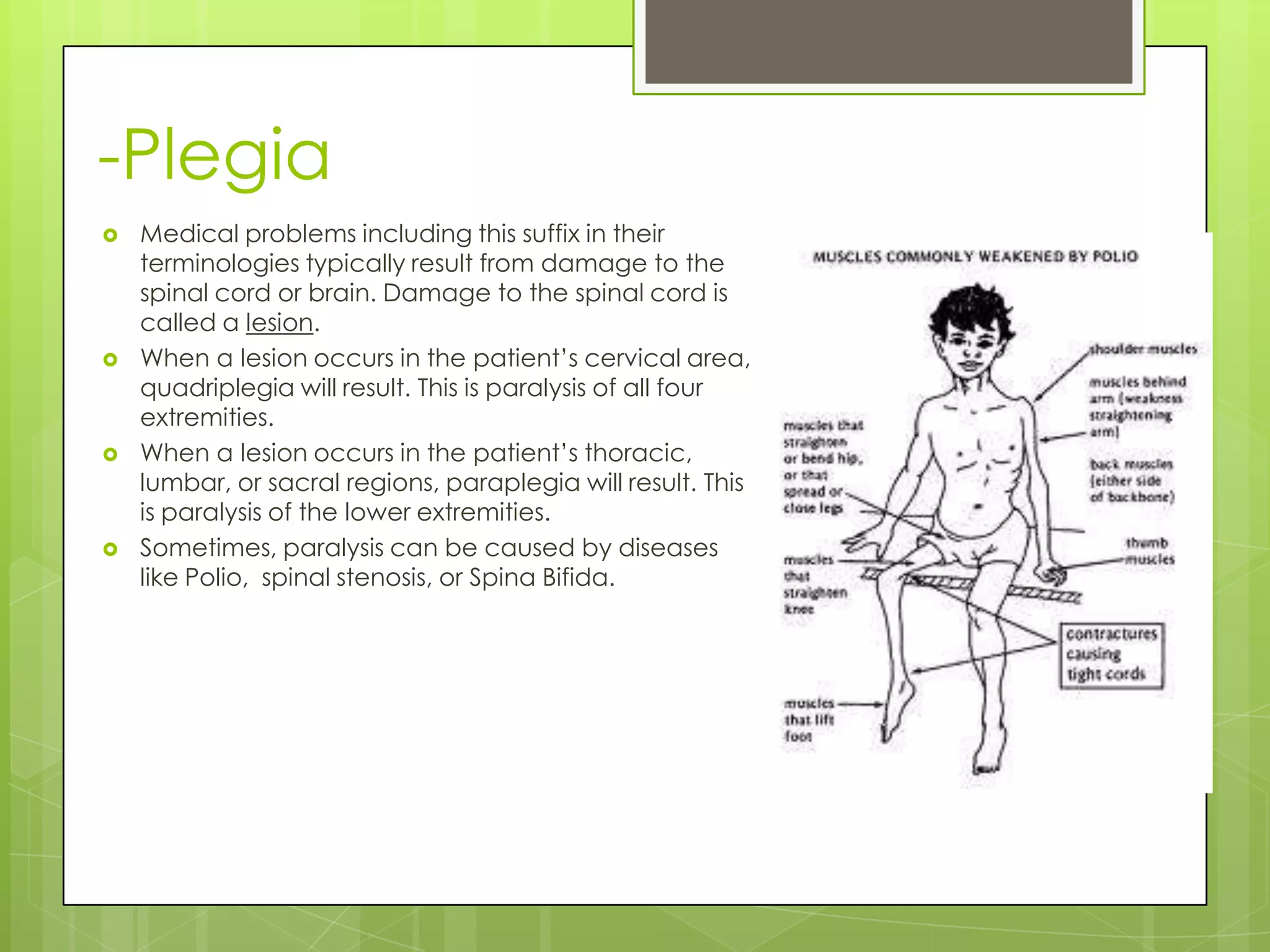 -Plegia
   Medical problems including this suffix in their
    terminologies typically result from damage to the
    spinal cord or brain. Damage to the spinal cord is
    called a lesion.
   When a lesion occurs in the patient’s cervical area,
    quadriplegia will result. This is paralysis of all four
    extremities.
   When a lesion occurs in the patient’s thoracic,
    lumbar, or sacral regions, paraplegia will result. This
    is paralysis of the lower extremities.
   Sometimes, paralysis can be caused by diseases
    like Polio, spinal stenosis, or Spina Bifida.
 