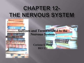 Chapter 12-the Nervous System Suffixes and Terms related to the Nervous System Corinne E. Preis BIO 120 