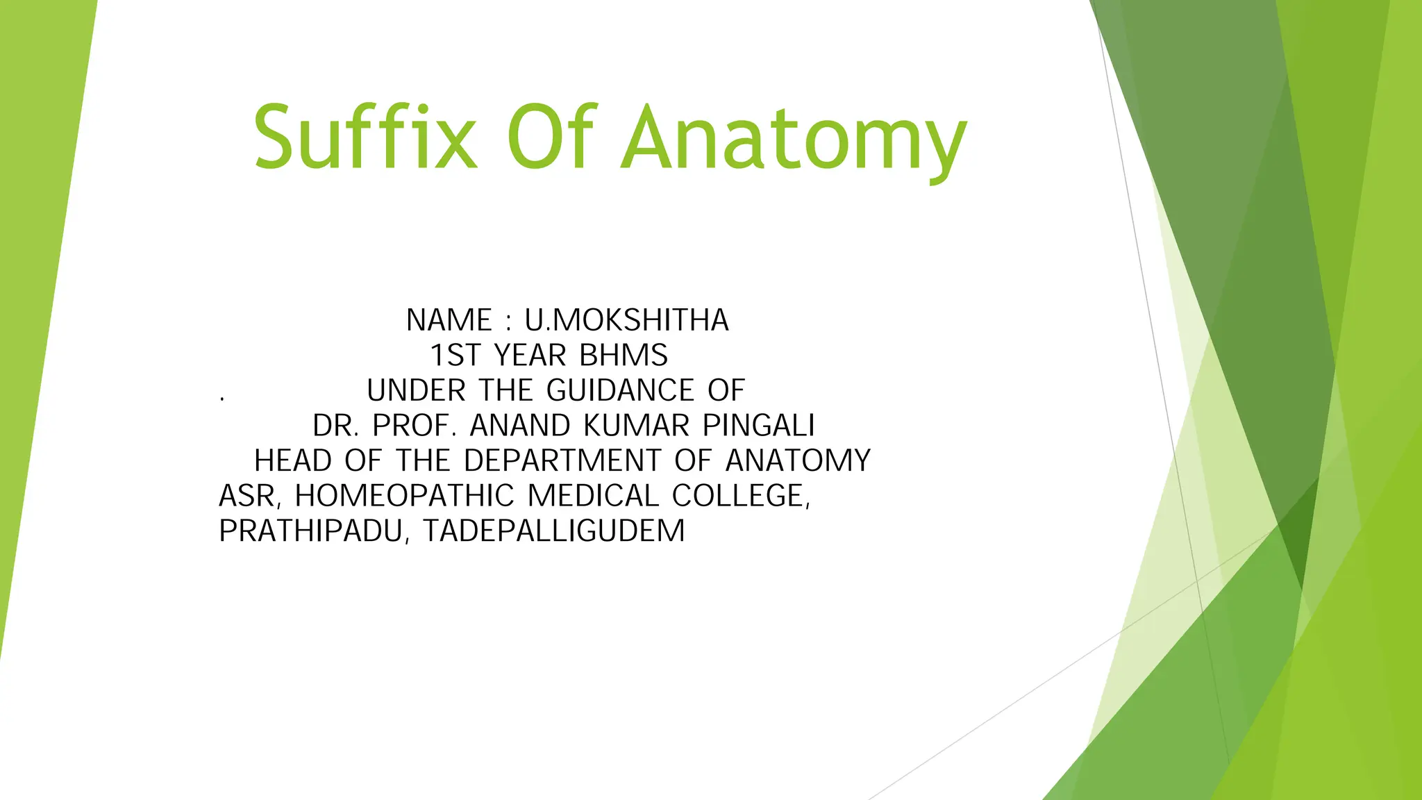 Anatomical : suffix of anatomy | PPT