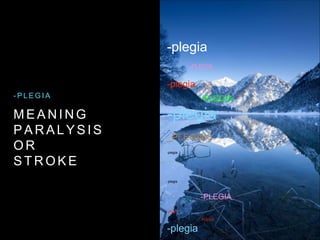 M E A N I N G
P A R A L Y S I S
O R
S T R O K E
- P L E G I A
-plegia
-PLEGIA
-plegia
-PLEGIA
-plegia
_PLEGIA
-plegia
-plegia
-phagia -PLEGIA
-plegia
-PLEGIA
-plegia
 