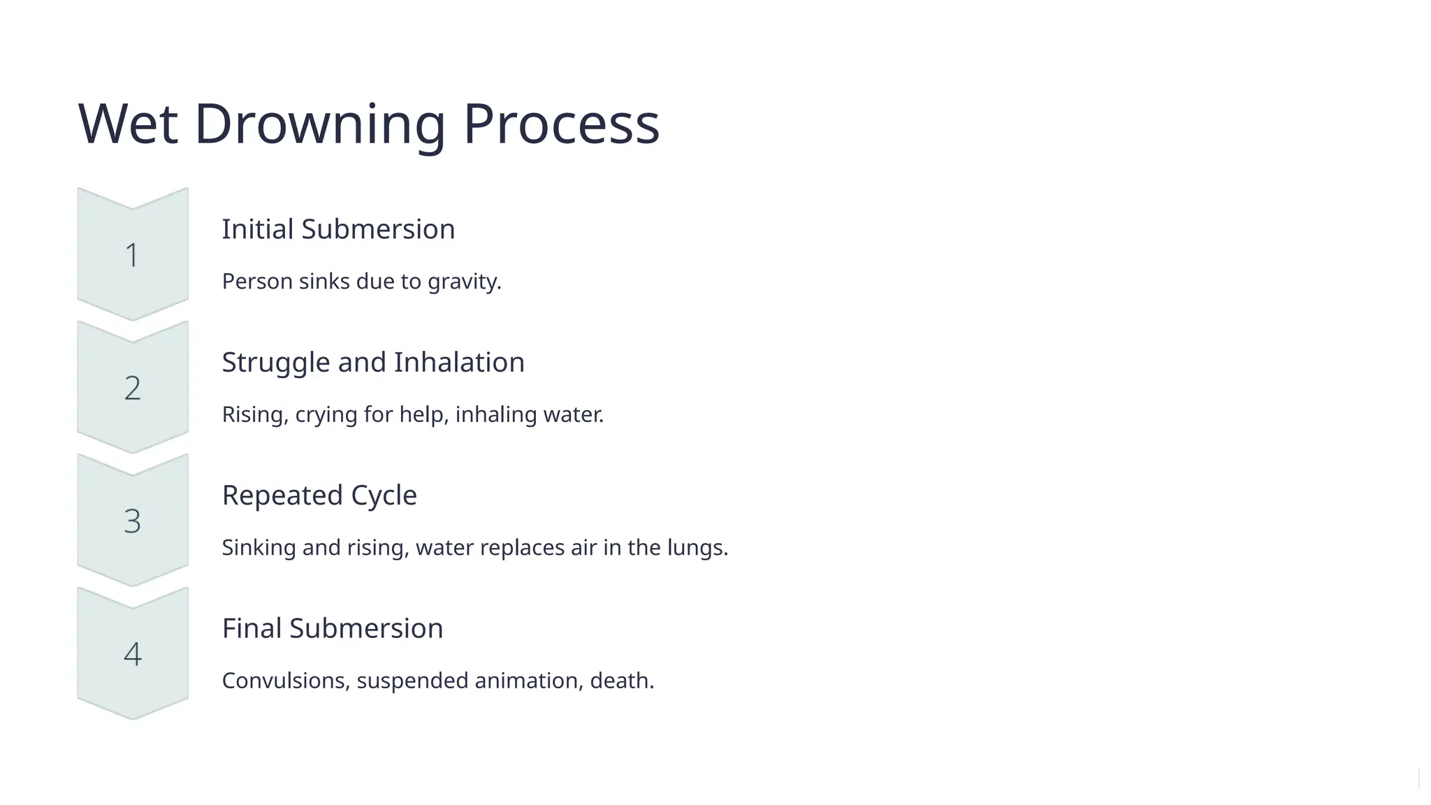 Wet Drowning Process
Initial Submersion
Person sinks due to gravity.
Struggle and Inhalation
Rising, crying for help, inhaling water.
Repeated Cycle
Sinking and rising, water replaces air in the lungs.
Final Submersion
Convulsions, suspended animation, death.
 