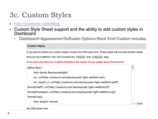 3c. Custom Styles
   http://evelurie.com/blog
   Custom Style Sheet support and the ability to add custom styles in
    ...