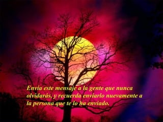 Envía este mensaje a la gente que nunca olvidarás, y recuerda enviarlo nuevamente a la persona que te lo ha enviado. 