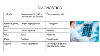 DIAGNÓSTICO
Grafía Representación gráfica.
Descripción. Inscripción.
Electrocardiografía
Génesis, genia,
geno:
Origen, reproducción Patógeno
Lito Cálculo o piedra Nefrolito
Oma Tumor Adenoma
Plejia Parálisis Cuadriplejia
Squisis Fisura, separación Queilosquisis: (queilo:
labio) labio leporino.
 