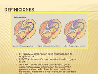 DEFINICIONES




       HIPOXEMIA: disminución de la concentración de
        oxígeno en la hb
       HIPOXIA: disminución de concentración de oxígeno
        tisular
       ASFIXIA: “Es un síndrome caracterizado por la
        suspensión o grave disminución del intercambio
        gaseoso a nivel de la placenta , que resulta en
        hipoxemia, hipercapnia e hipoxia tisular con acidosis
 