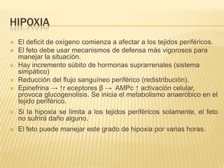 HIPOXIA
   El deficit de oxígeno comienza a afectar a los tejidos periféricos.
   El feto debe usar mecanismos de defensa más vigorosos para
    manejar la situación.
   Hay incremento súbito de hormonas suprarrenales (sistema
    simpático)
   Reducción del flujo sanguíneo periférico (redistribución).
   Epinefrina → ↑r eceptores β → AMPc ↑ activación celular,
    provoca glucogenolisis. Se inicia el metabolismo anaeróbico en el
    tejido periférico.
   Si la hipoxia se limita a los tejidos periféricos solamente, el feto
    no sufrirá daño alguno.
   El feto puede manejar este grado de hipoxia por varias horas.
 