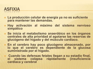 ASFIXIA
   La producción celular de energía ya no es suficiente
    para mantener las demandas.
   Hay activación al máximo del sistema nervioso
    simpático
   Se inicia el metabolismo anaeróbico en los órganos
    centrales de alta prioridad al agotarse las reservas de
    glucógeno del hígado y del músculo cardíaco.
   En el cerebro hay poco glucógeno almacenado, por
    lo que el cerebro es dependiente de la glucosa
    suministrada por el hígado.
    Cuando las defensas fetales llegan a su estadio final,
    el sistema colapsa rápidamente (insuficiencia
    cardiaca y cerebral
 