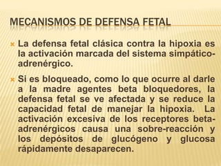 MECANISMOS DE DEFENSA FETAL
   La defensa fetal clásica contra la hipoxia es
    la activación marcada del sistema simpático-
    adrenérgico.
   Si es bloqueado, como lo que ocurre al darle
    a la madre agentes beta bloquedores, la
    defensa fetal se ve afectada y se reduce la
    capacidad fetal de manejar la hipoxia. La
    activación excesiva de los receptores beta-
    adrenérgicos causa una sobre-reacción y
    los depósitos de glucógeno y glucosa
    rápidamente desaparecen.
 