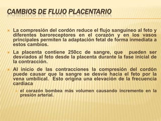 CAMBIOS DE FLUJO PLACENTARIO

   La compresión del cordón reduce el flujo sanguíneo al feto y
    diferentes baroreceptores en el corazón y en los vasos
    principales permiten la adaptación fetal de forma inmediata a
    estos cambios.
   La placenta contiene 250cc de sangre, que pueden ser
    desviados al feto desde la placenta durante la fase inicial de
    la contracción.
   Al inicio de las contracciones la compresión del cordón
    puede causar que la sangre se desvíe hacia el feto por la
    vena umbilical. Esto origina una elevación de la frecuencia
    cardiaca
       el corazón bombea más volumen causando incremento en la
        presión arterial.
 