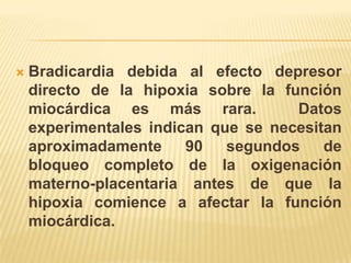    Bradicardia debida al efecto depresor
    directo de la hipoxia sobre la función
    miocárdica es más rara.          Datos
    experimentales indican que se necesitan
    aproximadamente     90   segundos    de
    bloqueo completo de la oxigenación
    materno-placentaria antes de que la
    hipoxia comience a afectar la función
    miocárdica.
 