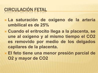 CIRCULACIÓN FETAL

 La saturación de oxígeno de la arteria
  umbilical es de 25%
 Cuando el eritrocito llega a la placenta, se
  une al oxígeno y al mismo tiempo el CO2
  es removido por medio de los delgados
  capilares de la placenta.
 El feto tiene una menor presión parcial de
  O2 y mayor de CO2
 