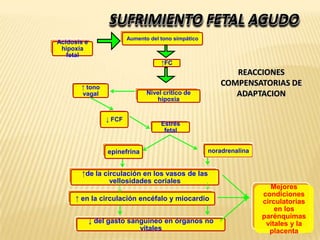 SUFRIMIENTO FETAL AGUDO
                         Aumento del tono simpático
Acidosis e
 hipoxia
   fetal
                                     ↑FC
                                                             REACCIONES
       ↑ tono
                                                          COMPENSATORIAS DE
       vagal                    Nivel critico de             ADAPTACION
                                   hipoxia


                 ↓ FCF
                                     Estrés
                                      fetal


                  epinefrina                          noradrenalina


        ↑de la circulación en los vasos de las
                 vellosidades coriales
                                                                         Mejores
                                                                      condiciones
     ↑ en la circulación encéfalo y miocardio                         circulatorias
                                                                          en los
                                                                      parénquimas
             ↓ del gasto sanguíneo en órganos no                       vitales y la
                            vitales                                     placenta 37
 