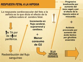 JEHE           Progresiva
                                                         17/06/2012
RESPUESTA FETAL A LA HIPOXIA                                 bradicardia por
                                                               aumento del
                                                            tono vagal y por
La respuesta cardiovascular del feto a la                     el efecto de la
    asfixia es la que dicta el efecto de la                 hipoxia sobre el
       asfixia sobre el cerebro fetal.                          miocardio

                           Incremento en
                           flujo cerebral,
                                                                    +
                            suprarrenal y                      Acidosis
                              cardíaco.                     provocada por
   de TA por                                                 aumento del
    de resist                    +                           ácido láctico
                             Menor                           por glicólisis
   periférica.                                                anaerobia
                            consumo
                             de O2

                                               SI LA
Redistribución del flujo                      HIPOXIA
                                             PERSISTE
      sanguíneo
                                                                                38
 