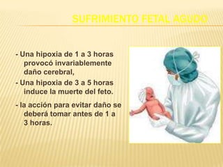 SUFRIMIENTO FETAL AGUDO


- Una hipoxia de 1 a 3 horas
   provocó invariablemente
   daño cerebral,
- Una hipoxia de 3 a 5 horas
   induce la muerte del feto.
- la acción para evitar daño se
   deberá tomar antes de 1 a
   3 horas.
 