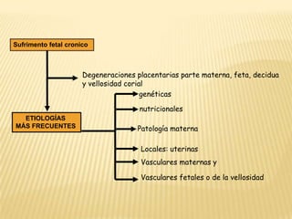 Sufrimento fetal cronico



                      Degeneraciones placentarias parte materna, feta, decidua
                      y vellosidad corial
                                        genéticas

                                      nutricionales
  ETIOLOGÍAS
MÁS FRECUENTES                       Patología materna

                                      Locales: uterinas
                                      Vasculares maternas y

                                      Vasculares fetales o de la vellosidad
 
