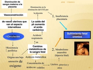 Disminución de                                            JEHE   17/06/2012
sangre materna a la
     placenta              Disminución en la
                        eliminación del CO2 por
                              la placenta
 Vasoconstricción
                                                   1. Insuficiencia
                                                        placentaria
de vasos uterinos que       La caída del
    van al espacio          ph aumenta
     intervelloso             el acido
                             carbónico
                                                                   Sufrimiento fetal
                             Acidosis
    Circulación                                                        cronico
                            respiratoria
                                 en
                            Cambios
    Resistencia
     periférica
                         metabólicos de            2. Metabolismo
                         la sangre fetal                anaerobio
                                                      (hipoxia fetal)
    Origina una baja Acidosis metabólica
            de
     saturación
                        Concentración de          Láctico, piruvico y
      oxigeno         ácidos no volátiles                otros                         47
 