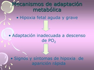 Mecanismos de adaptación
metabólica
• Hipoxia fetal aguda y grave
• Adaptación inadecuada a descenso
de PO2
• Signos y síntomas de hipoxia de
aparición rápida
 