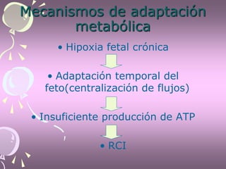 Mecanismos de adaptación
metabólica
• Hipoxia fetal crónica
• Adaptación temporal del
feto(centralización de flujos)
• Insuficiente producción de ATP
• RCI
 