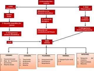 Hipoxia
tisular
↑ PCO2
(Hipercapnea)
Alteración en las
funciones enzimáticas
↓ pH
Alteración del
metabolismo del Potasio↑ Hidrogeniones
(Acidosis Metabólica)
DAÑO
HISTICO
↓ reservas de
glucógeno
↑ Glucolisis anaeróbica (Ac.
Láctico)
↓PO2
(Hipoxemia)
↓intercambio feto –
materno
↑ Hidrogeniones
(Acidosis Respiratoria)
↑ Acido
Carbónico
CEREBRO.
1. Vasoconstricción
2. Baja de funciones
de enzimas.
3. Muerte celular.
CORAZÓN.
1. Taquicardia.
2. Bradicardia.
3. Arritmia.
4. Muerte.
PULMONES.
1. Vasoconstricción
2. Insuficiencia
Respiratoria.
RINÓNES.
1. Hipoperfusión renal.
2. IR
INTESTINO.
1. Relajación del
intestino.
2. Hipermotilidad.
3. Meconio.
 
