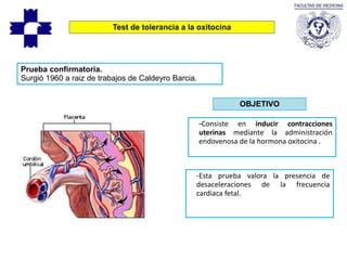Test de tolerancia a la oxitocina
Prueba confirmatoria.
Surgió 1960 a raiz de trabajos de Caldeyro Barcia.
OBJETIVO
-Consiste en inducir contracciones
uterinas mediante la administración
endovenosa de la hormona oxitocina .
-Esta prueba valora la presencia de
desaceleraciones de la frecuencia
cardiaca fetal.
 