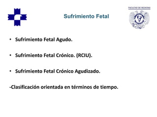 • Sufrimiento Fetal Agudo.
• Sufrimiento Fetal Crónico. (RCIU).
• Sufrimiento Fetal Crónico Agudizado.
-Clasificación orientada en términos de tiempo.
Sufrimiento Fetal
 