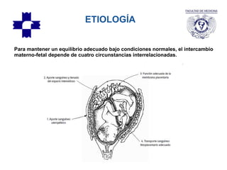 ETIOLOGÍA
Para mantener un equilibrio adecuado bajo condiciones normales, el intercambio
materno-fetal depende de cuatro circunstancias interrelacionadas.
 