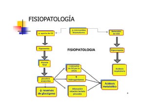 FISIOPATOLOGÍA 
 