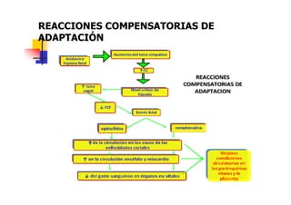 REACCIONES COMPENSATORIAS DE 
ADAPTACIÓN 
 