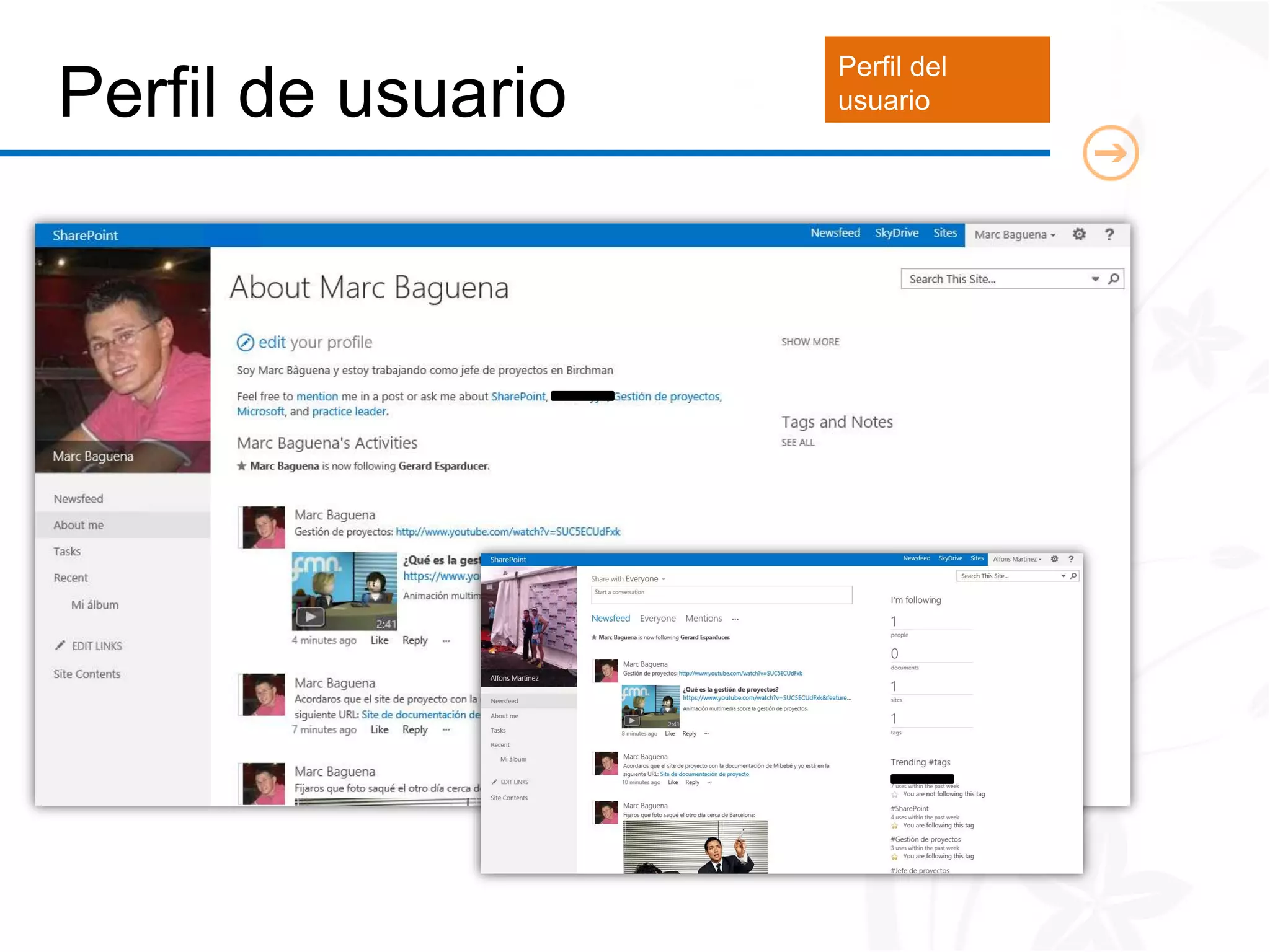 Perfil del
Perfil de usuario   usuario
 