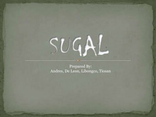 SUGAL Prepared By: Andres, De Leon, Libongco, Tiosan 