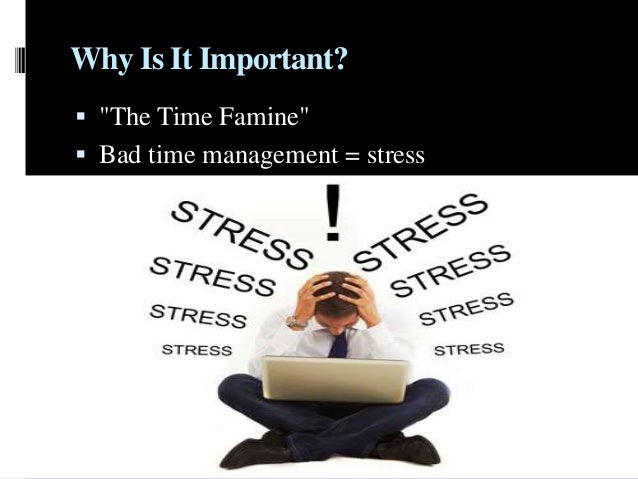 pay for a term paper quotes