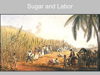 Sugar and Labor 